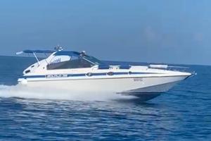 squalo 35 