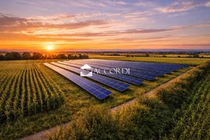 Rif.AS350| terreno agricolo concordia sagittaria