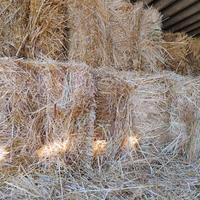 Foraggio in ballette