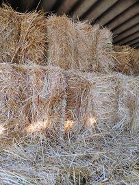 Foraggio in ballette