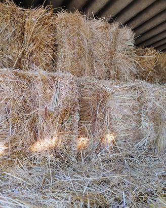 Foraggio in ballette