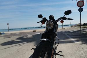 Harley Davidson Iron 883