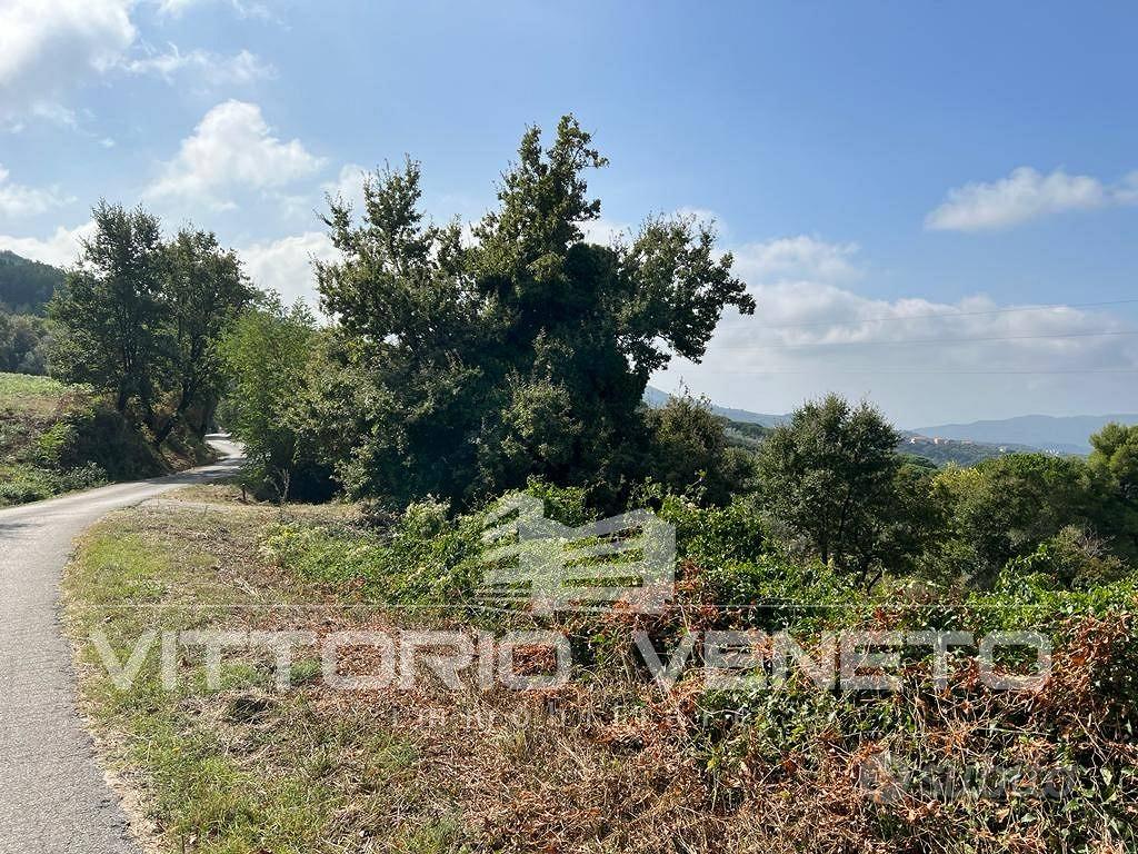 Terreno di 15903 m² a Laureana Cilento - Vista 2
