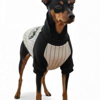 Maglioncino cane pincher toy