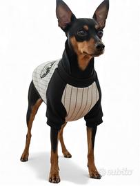 Maglioncino cane pincher toy