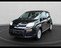 fiat-panda-iii-2021-panda-1-0-firefly-hybrid-s-s