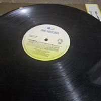 Fivelandia 8 LP senza copertina