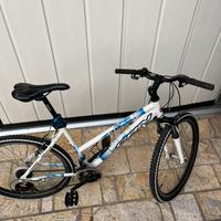 Mountain bike ragazzo