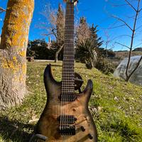 Chitarra 7 corde schecter