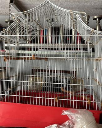 Gabbia uccelli