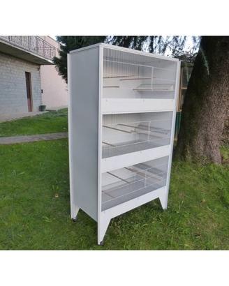 gabbia batteria tre piano cardellini