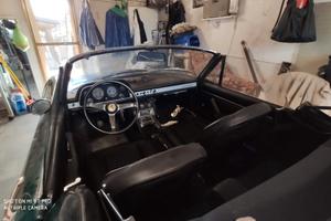 FIAT DINO SPIDER 