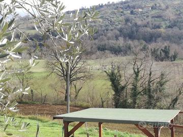 TERRENO AGRICOLO CON ANNESSO POZZO ULIVETI E FRUTT