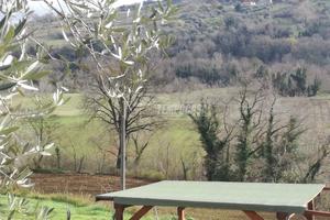 TERRENO AGRICOLO CON ANNESSO POZZO ULIVETI E FRUTT