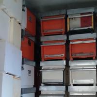 Arnie attrezzatura apicoltura