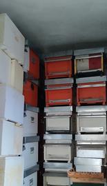 Arnie attrezzatura apicoltura