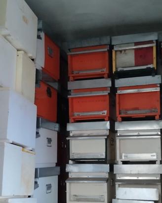 Arnie attrezzatura apicoltura