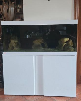 Acquario EHEIM Completo + Colonia Tropheus Bemba
