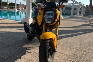 Msx 125 grom