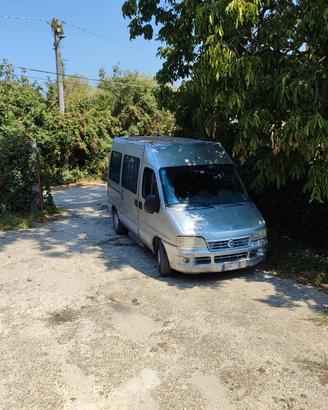 furgone ducato 