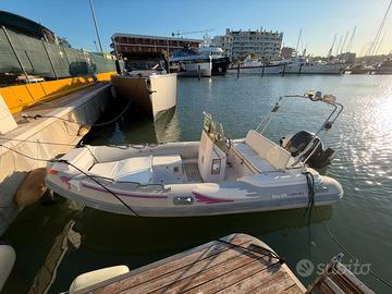 NUOVA JOLLY KING 490 - EVINRUDE  E TEC 115
