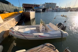 NUOVA JOLLY KING 490 - EVINRUDE  E TEC 115