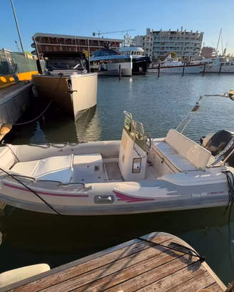 NUOVA JOLLY KING 490 - EVINRUDE  E TEC 115