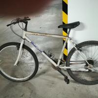 Bici MTB   Bianchi uomo 