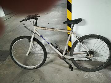 Bici MTB   Bianchi uomo 