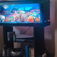 acquario 100litri completo mobile filtro luce led 