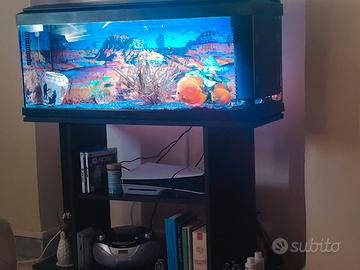 acquario 100litri completo mobile filtro luce led 