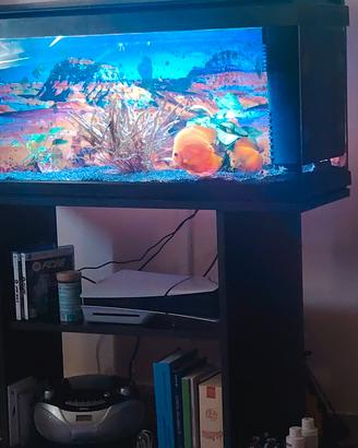 acquario 100litri completo mobile filtro luce led 