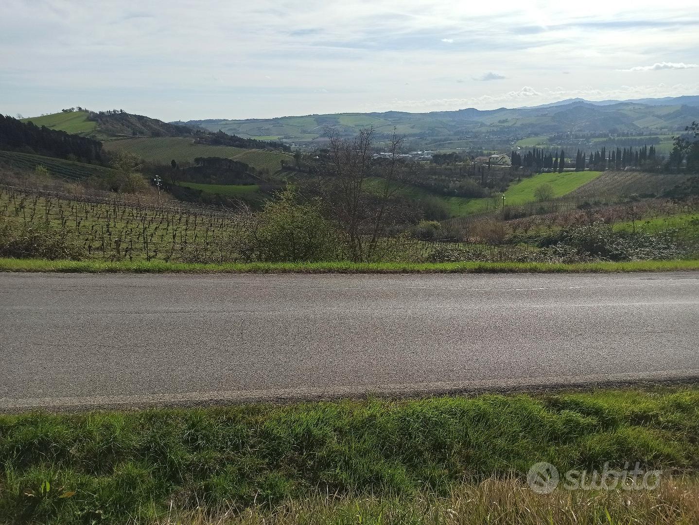 terreno agricolo a vigneto e terreno nudo - Vista 4