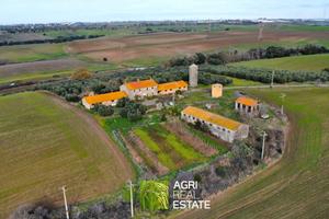 Terreno agricolo di 48 HA con casale e fabbricati