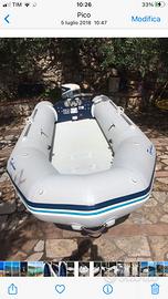 Gomone  3,30 con motore evinrude 15cv