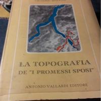 La topografia del romanzo " i promessi sposi"1