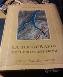 La topografia del romanzo " i promessi sposi"1