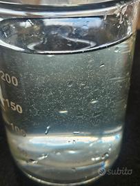 Fitoplancton Vivo Zooplancton (Copepodi e Rotiferi