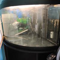 acquario angolare 160 litri