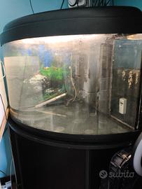 acquario angolare 160 litri