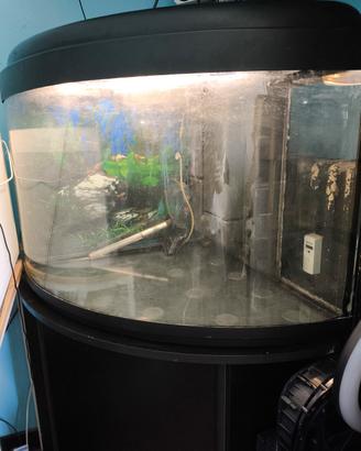 acquario angolare 160 litri