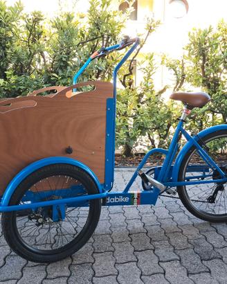 Cargo Bike per trasporto bambini (panda-bike)