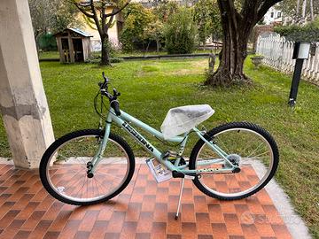Bicicletta