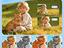 Immagine 5