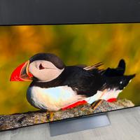 TV LG OLED 55”  55C34LA