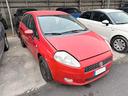 fiat-punto