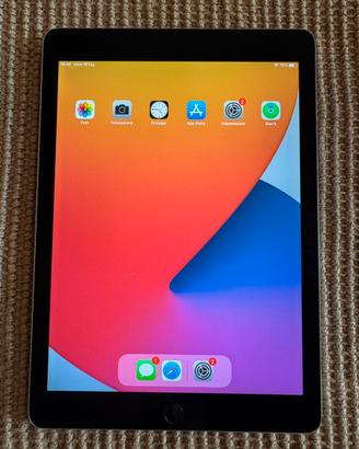 iPad Air 2