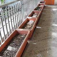 VASI COMPLETI DI SOTTOVASI E TERRICCIO . 