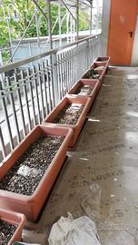 VASI COMPLETI DI SOTTOVASI E TERRICCIO . 