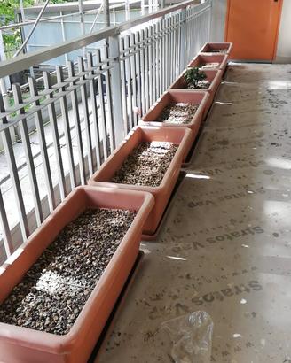 VASI COMPLETI DI SOTTOVASI E TERRICCIO . 